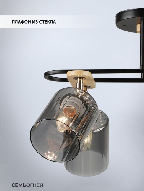 Спот Wedo Light Lana WD3608/4C-BK-SMK