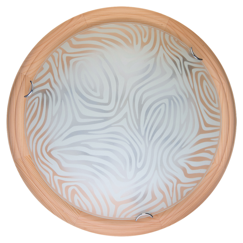 Настенно-потолочный светодиодный светильник Toplight Agatha TL9260Y-00PN