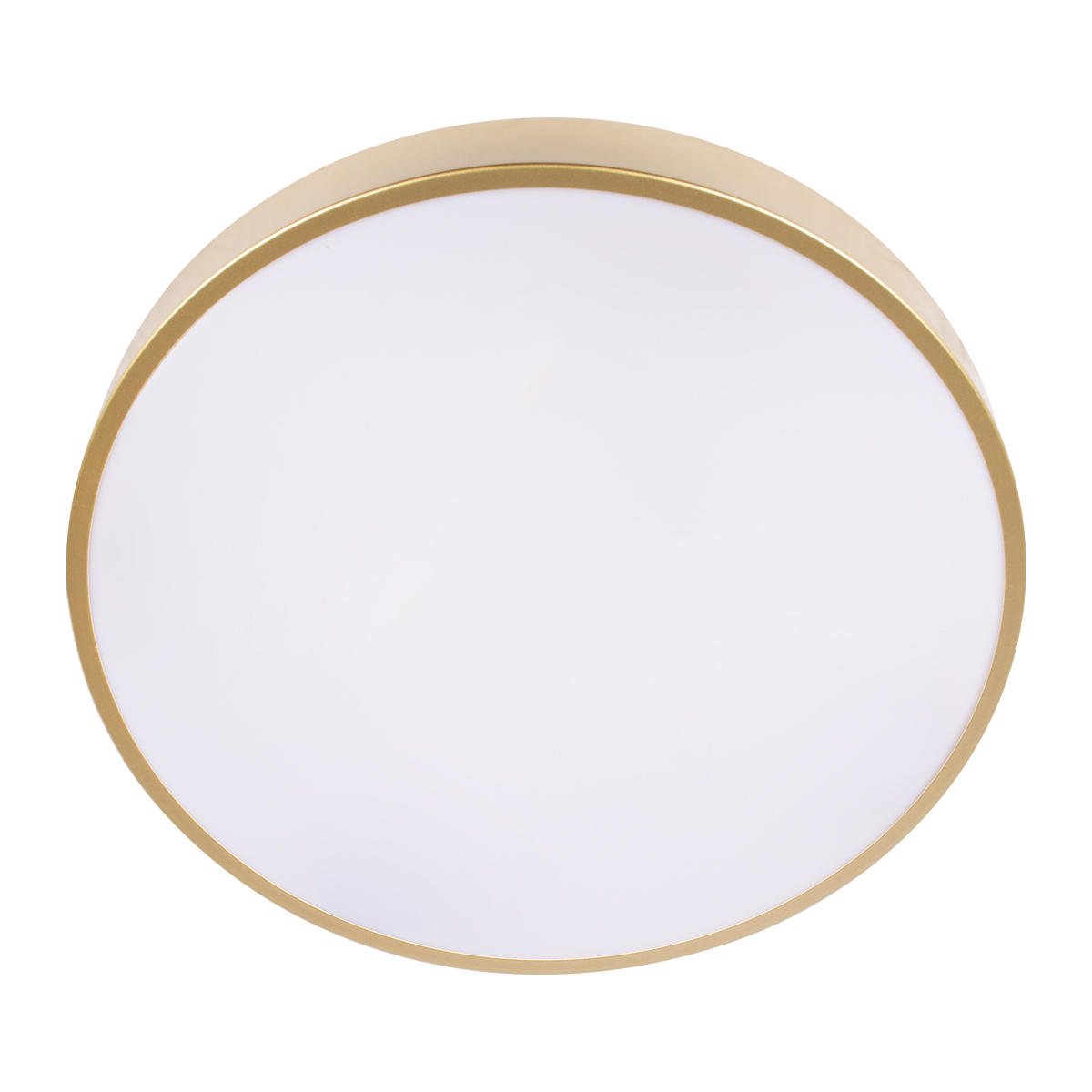 Потолочный светильник светодиодный круглый светодиодный Loft IT Flims 10228/A