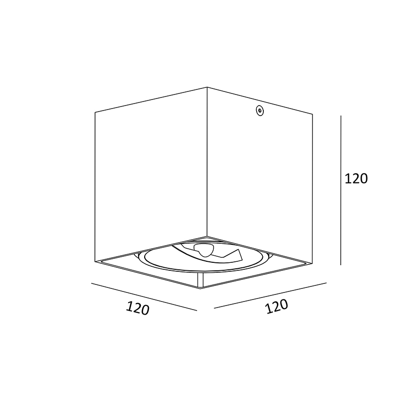 Потолочный светильник Zumaline BOX SL 1 89947-G9