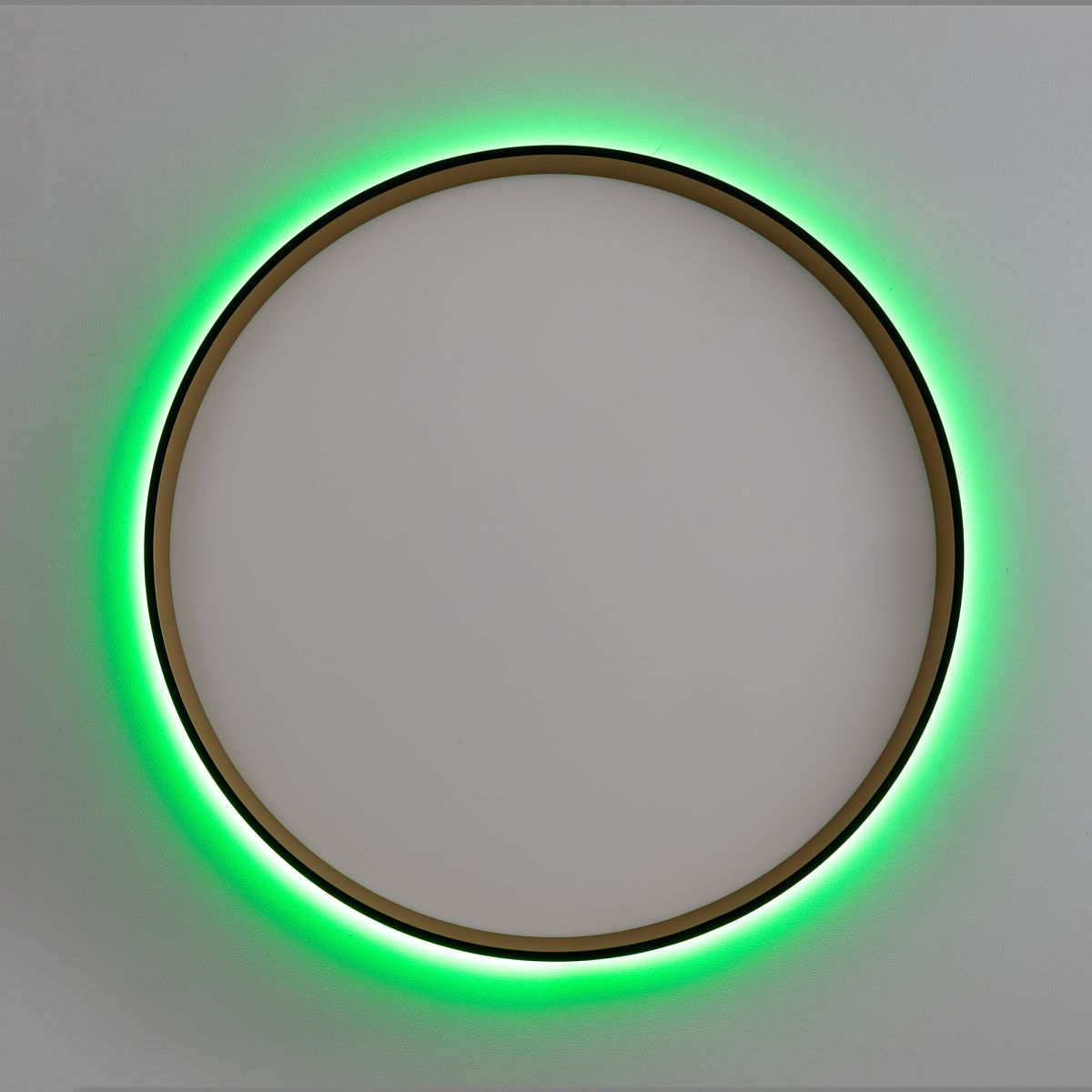 Потолочный светильник Citilux Etalon CL750401R