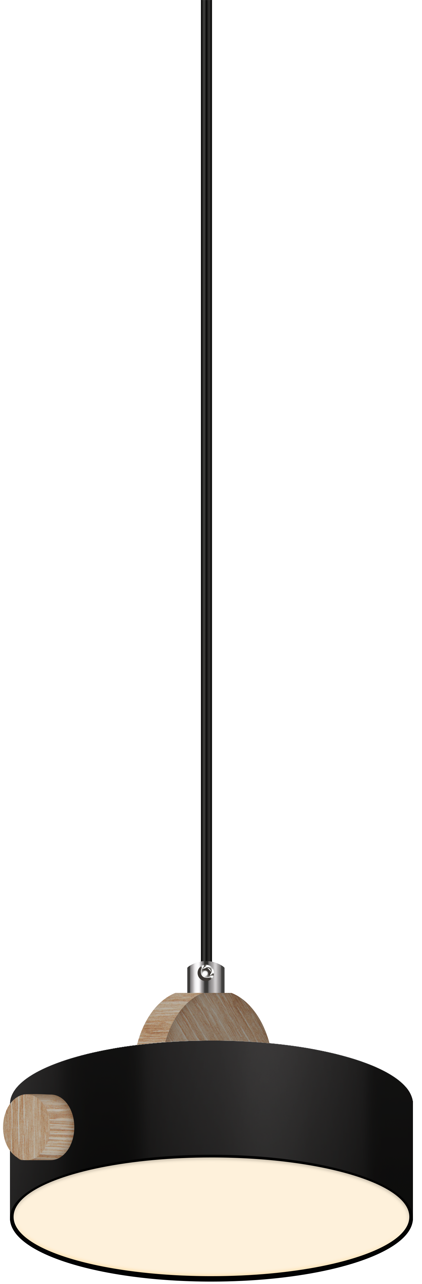 Подвесной светильник Ritter Scandia 52078 8