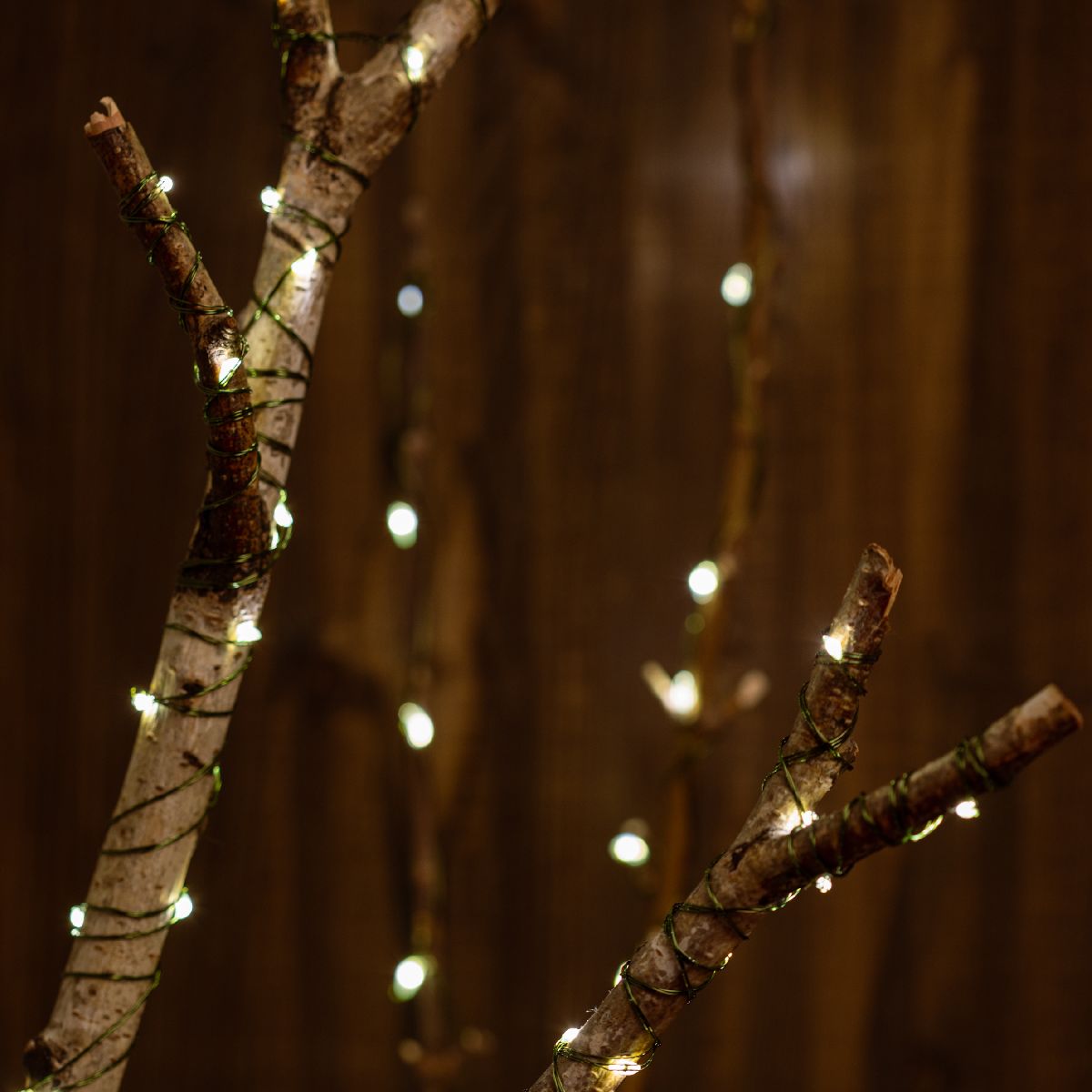 Светодиодная гирлянда Эра ENIN-1000G Б0060427