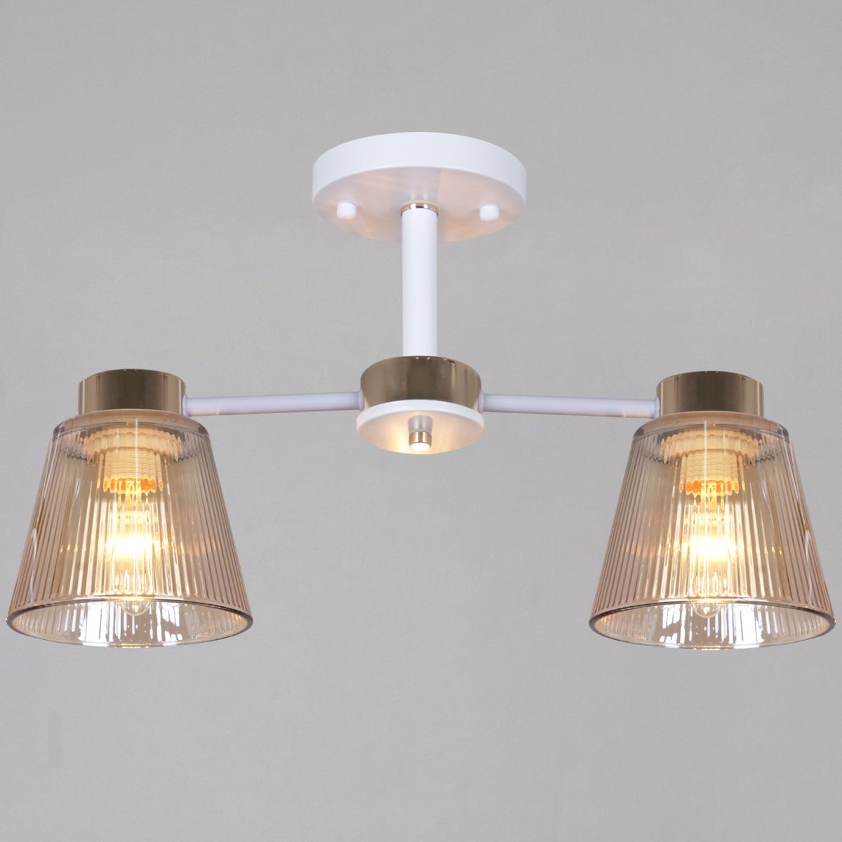 Потолочный светильник Reluce 20560-0.3-02 WH+FG