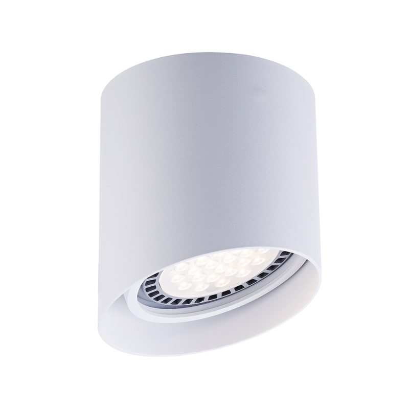 Потолочный светильник Zumaline PARC ACGU10-128