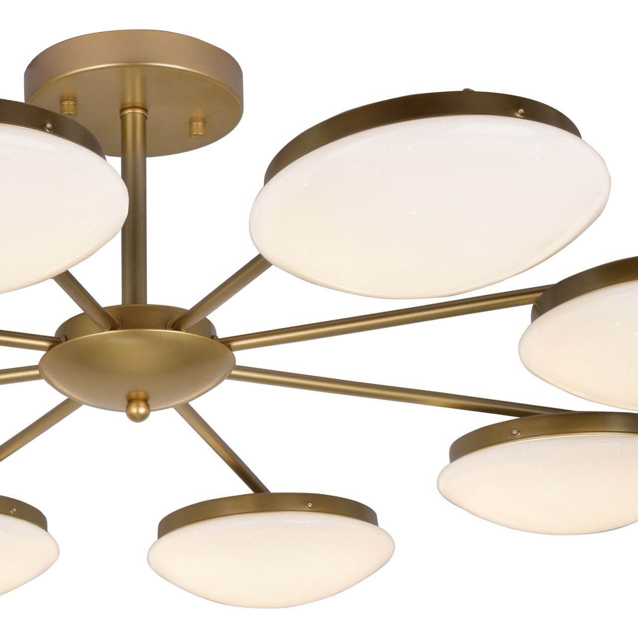 Потолочная светодиодная люстра F-Promo Ledante 2476-8P