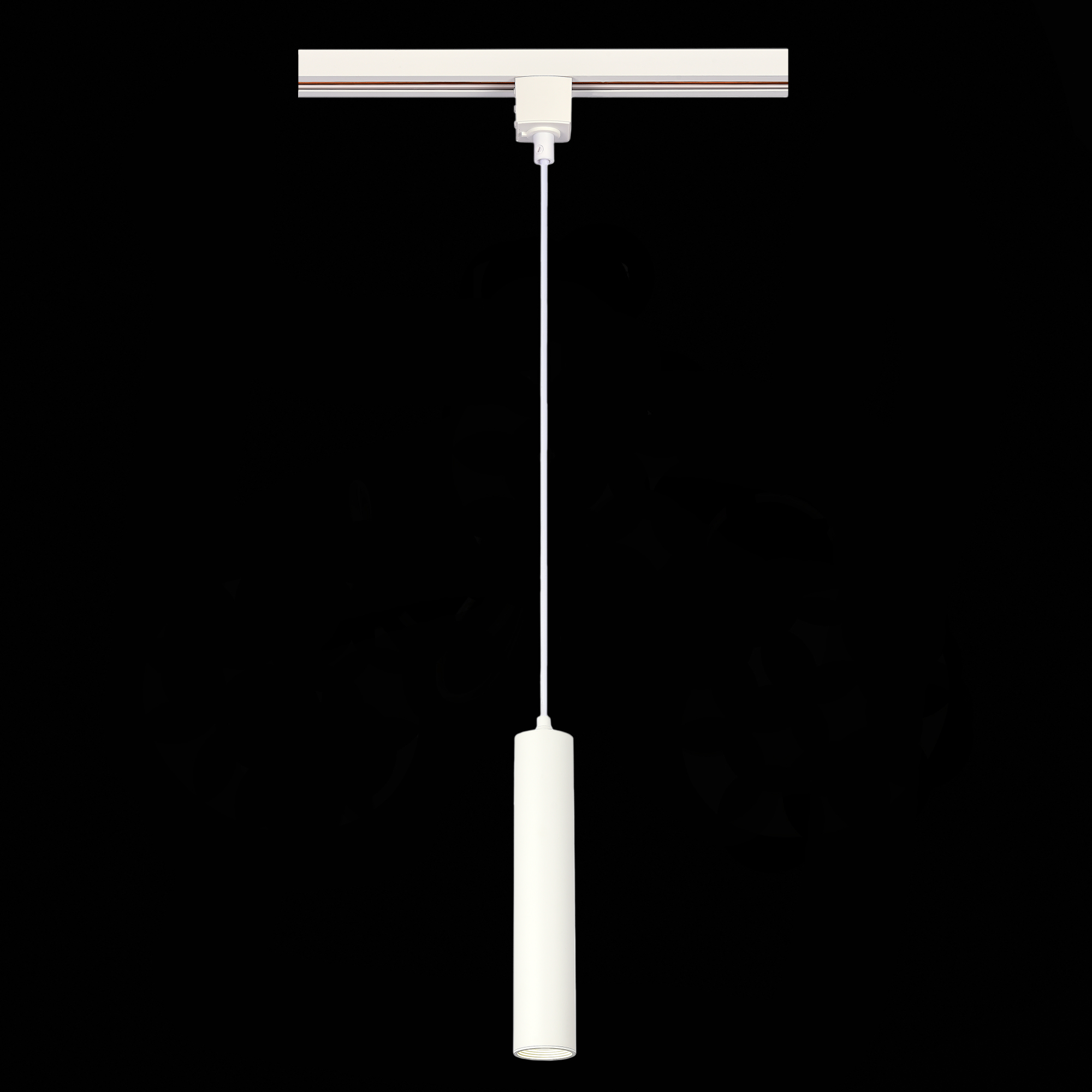 Трековый однофазный светильник ST Luce ST151.506.01