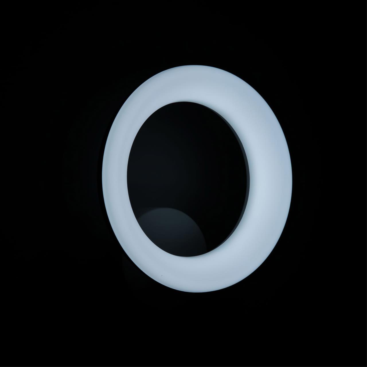 Бра Citilux Паркер CL225B310 в Москве