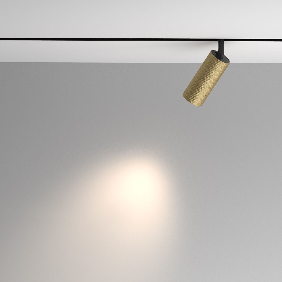 Трековый магнитный светильник Maytoni Artisan TR097-2-12W4K-M-BMG