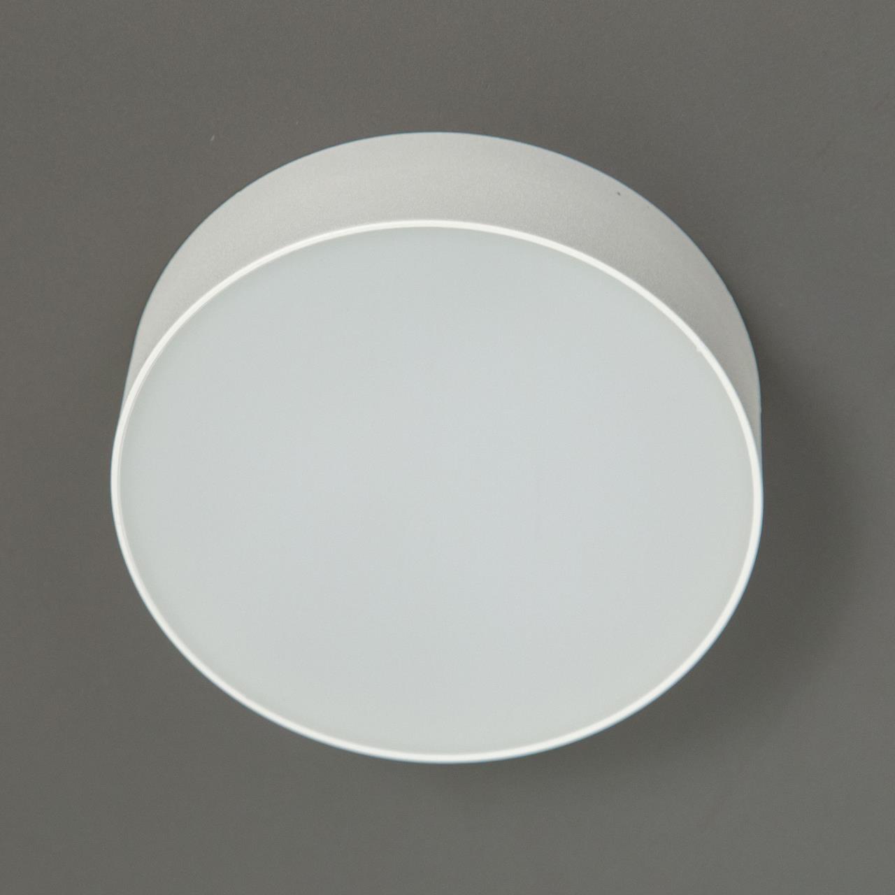 Накладной светодиодный светильник Citilux Тао CL712120N