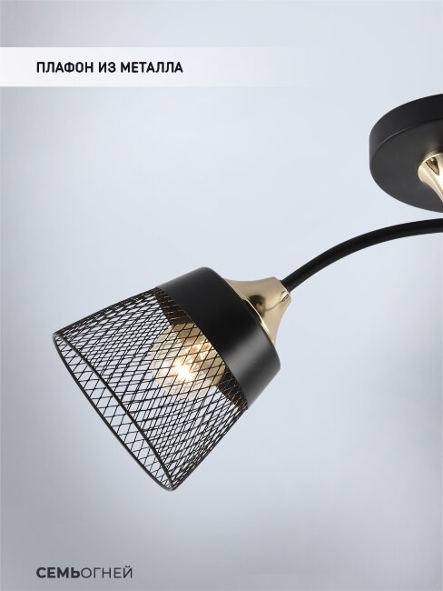 Потолочный светильник Seven Fires Bens SF3381/2C-BK-FGD-BK