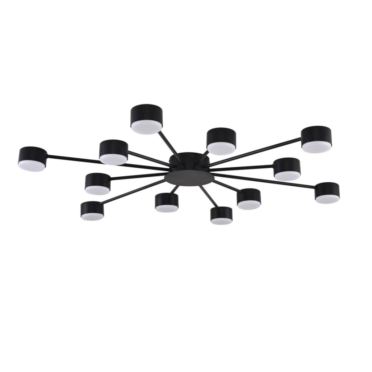 Потолочная люстра Lumion Comfi Torina 8344/12C