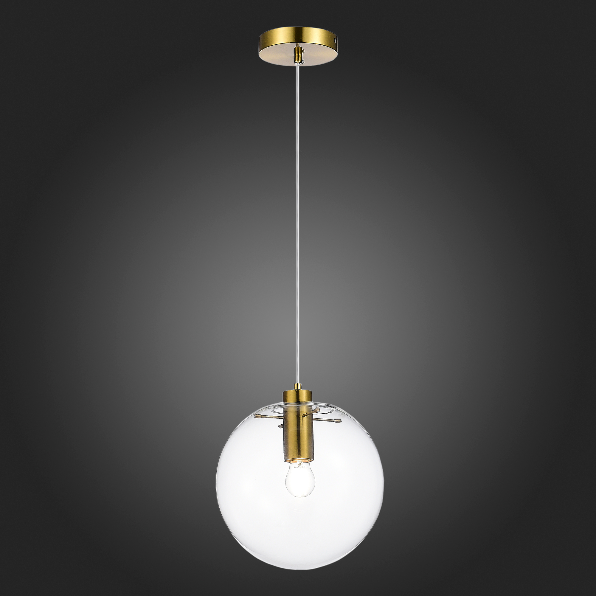 Подвесной светильник ST Luce Noor SL1056.213.01