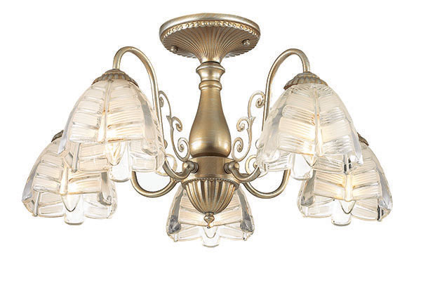 Потолочная люстра Lumion Jelis 3460/5C