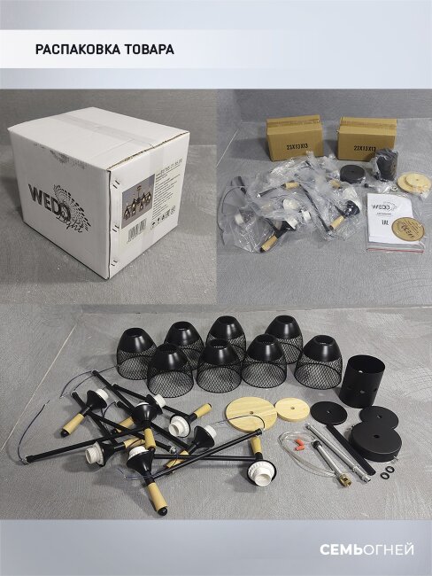 Люстра на штанге Wedo Light Adion WD3500/8C-BK