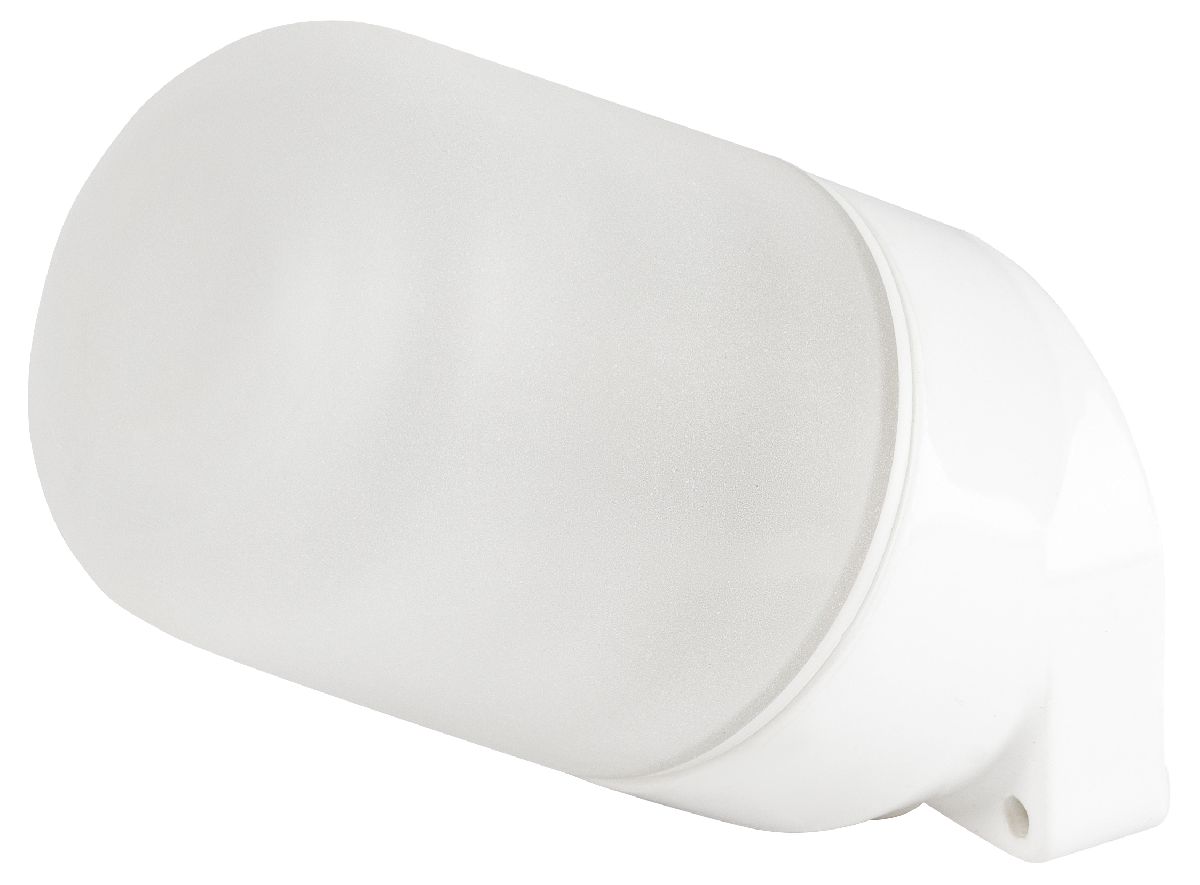 Настенно-потолочный светильник Эра НББ 02-60-002 Б0064018