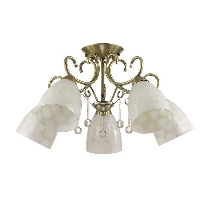 Потолочная люстра Lumion Eleconca 3511/5C