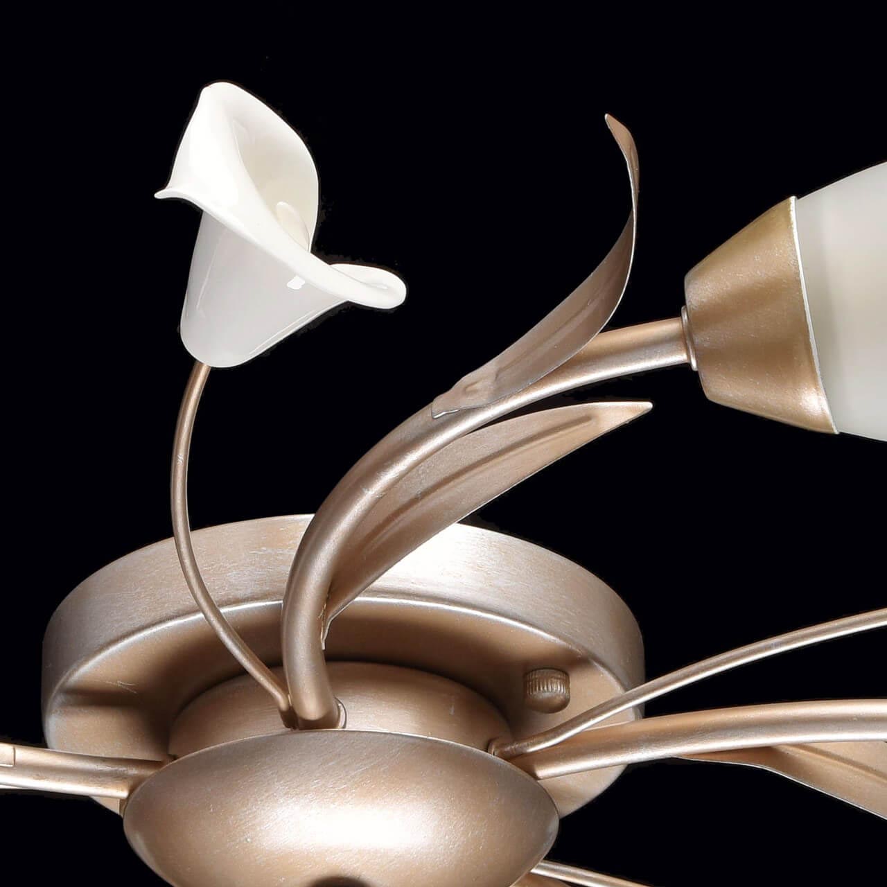 Потолочная люстра MW-Light Восторг 19 242016205 в Москве