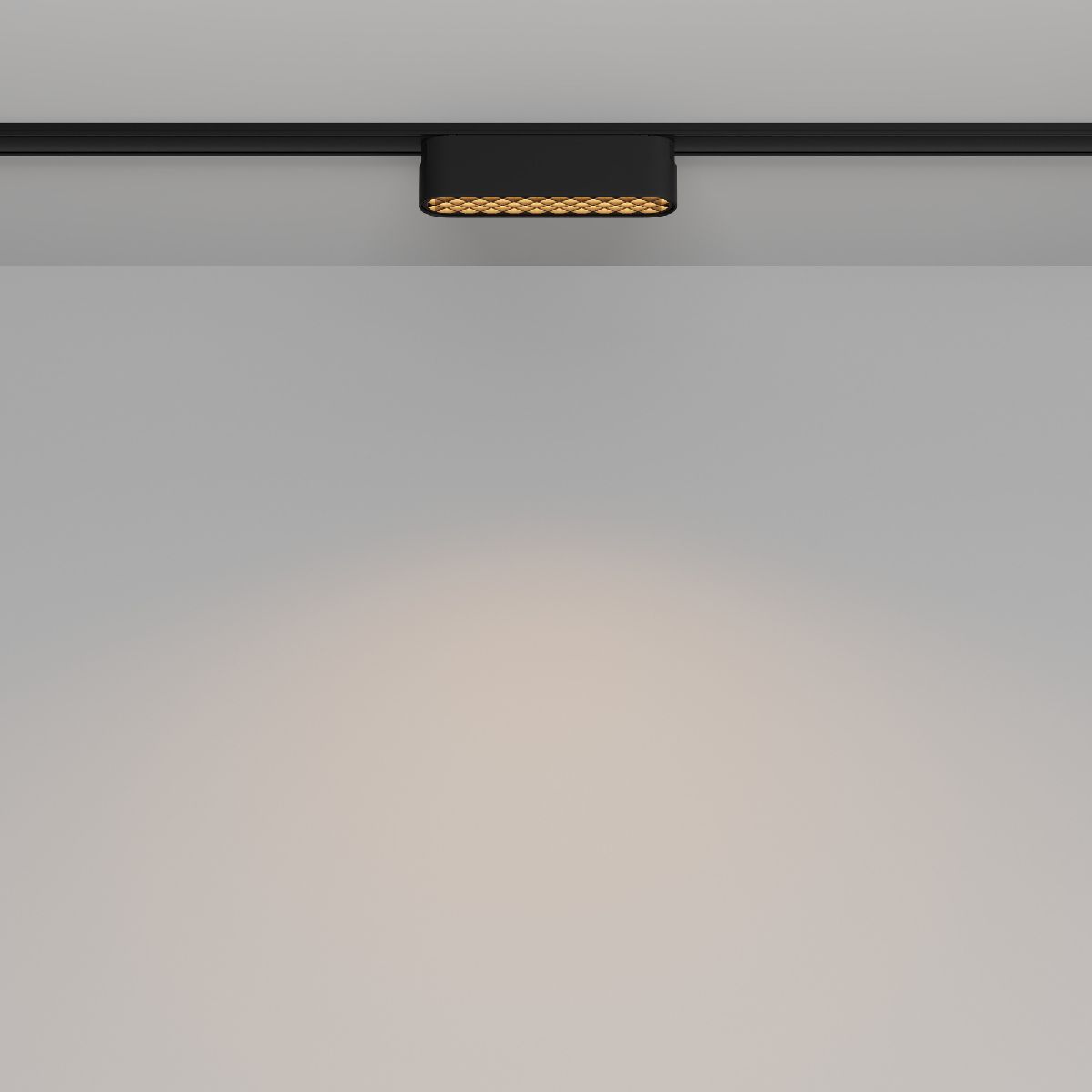 Трековый магнитный светильник Maytoni Basis Grid TR084-1-6W3K-B