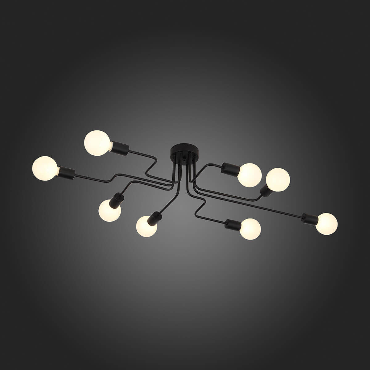 Потолочная люстра ST Luce Ano SL419.442.08