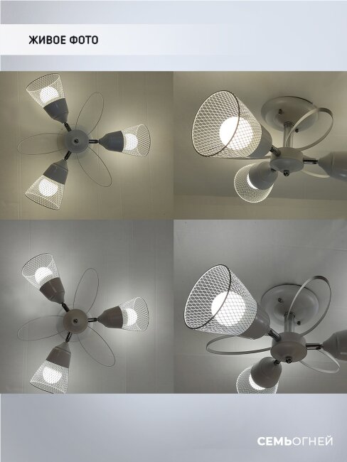 Люстра на штанге Wedo Light Berat WD3525/3C-WT-CR-WT