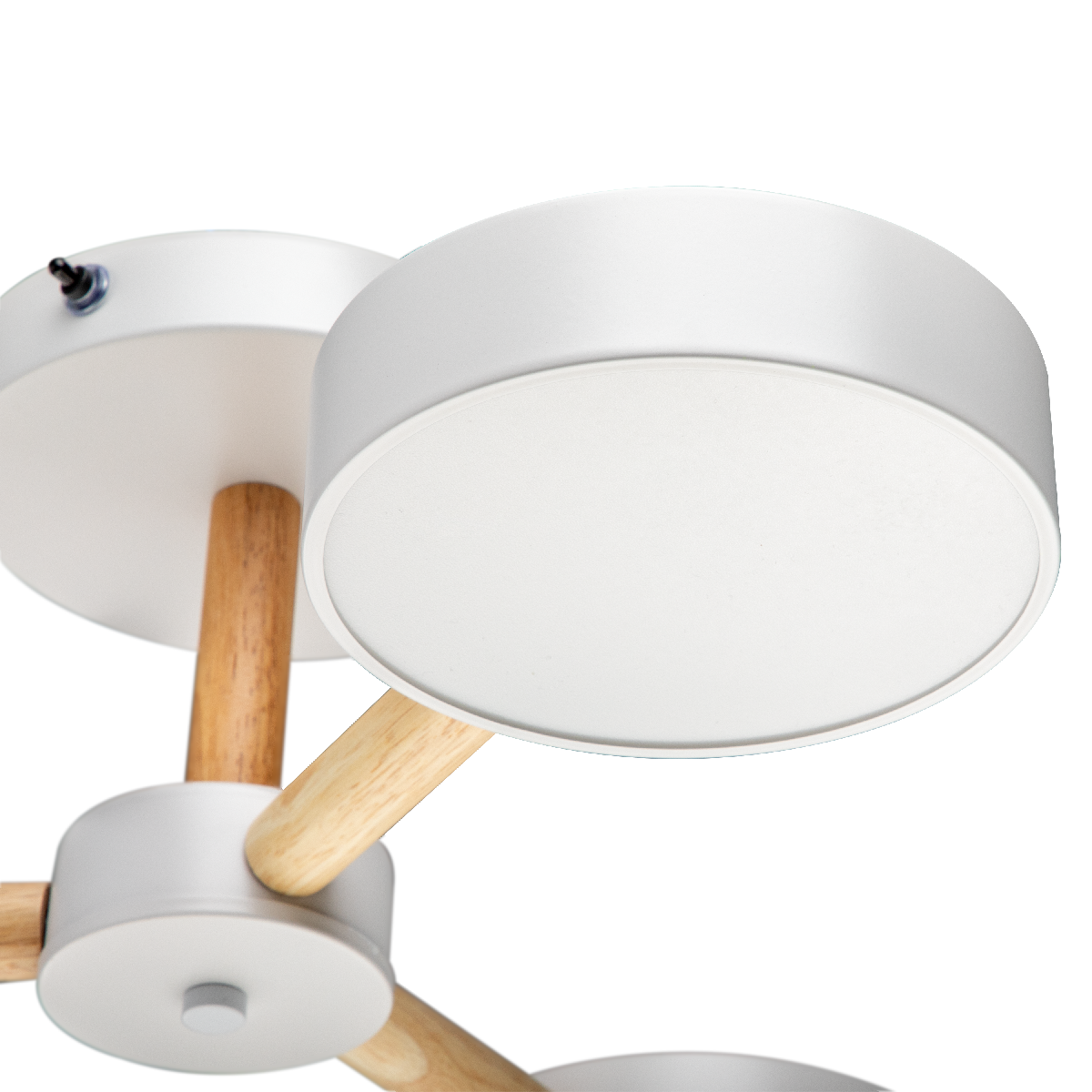 Люстра на штанге Ritter Scandia 51589 4