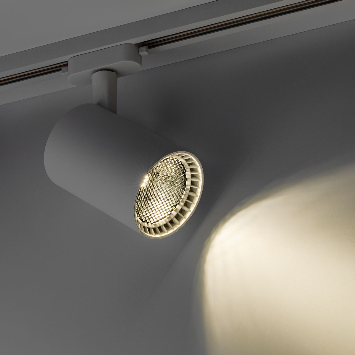 Трековый однофазный светильник Ritter Artline 59734 0