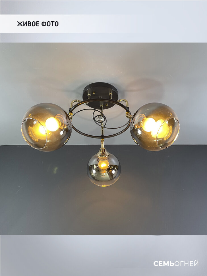 Потолочная люстра Wedo Light Zofi 66757.01.15.03