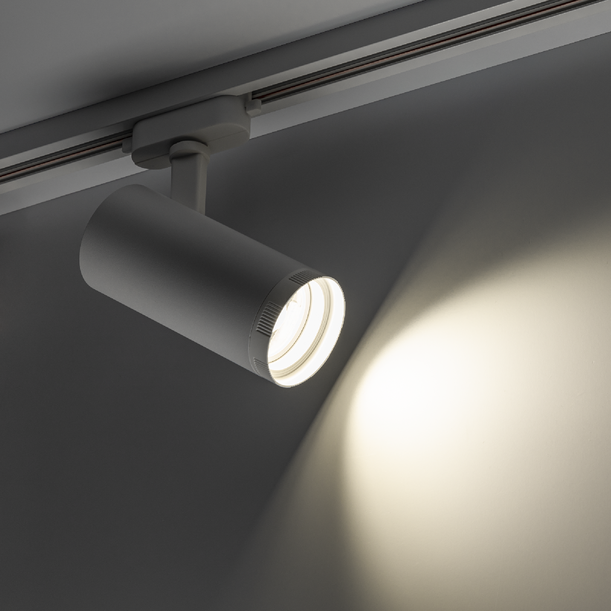 Трековый однофазный светильник Ritter Artline 59738 8