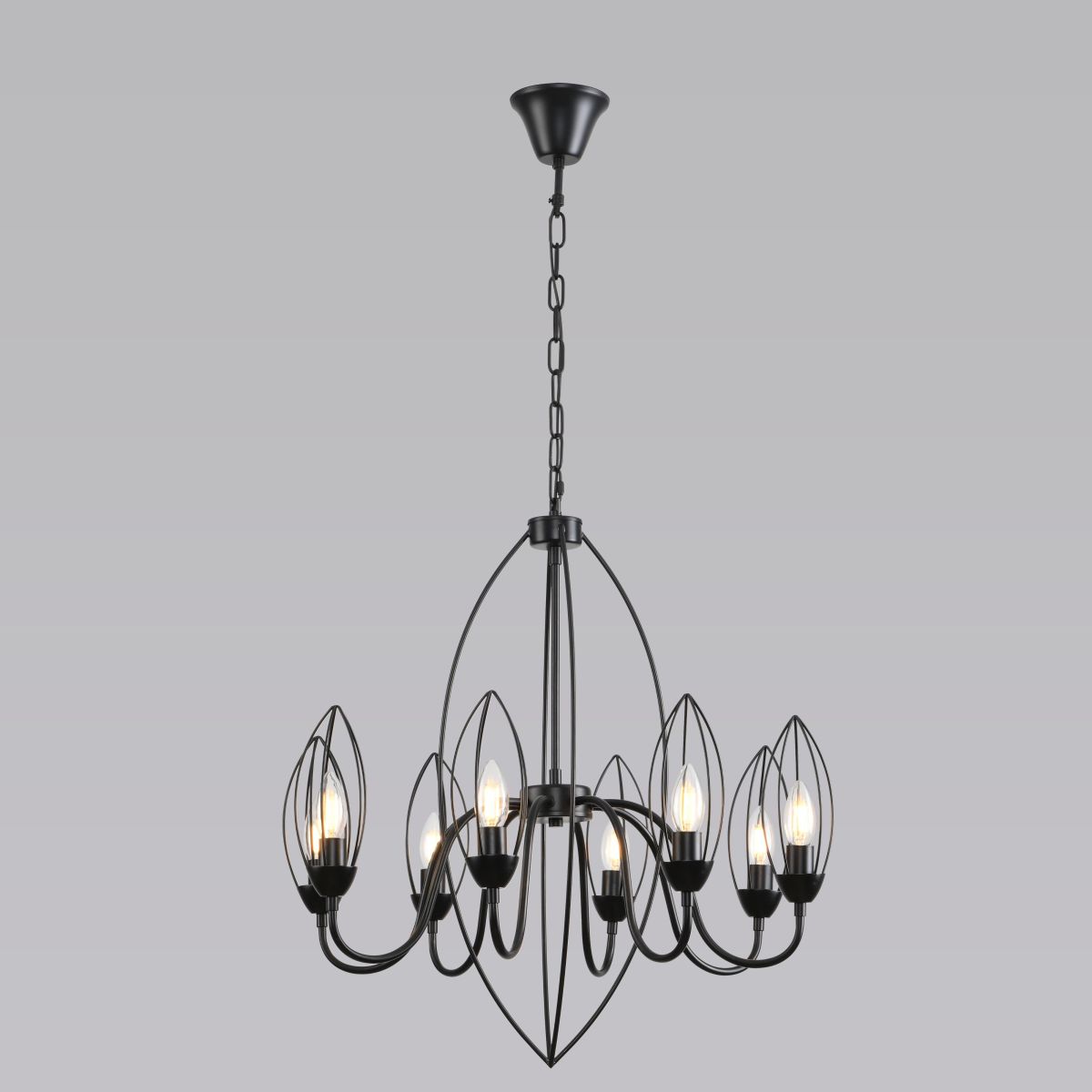 Подвесная люстра Alfa Light F3524-02