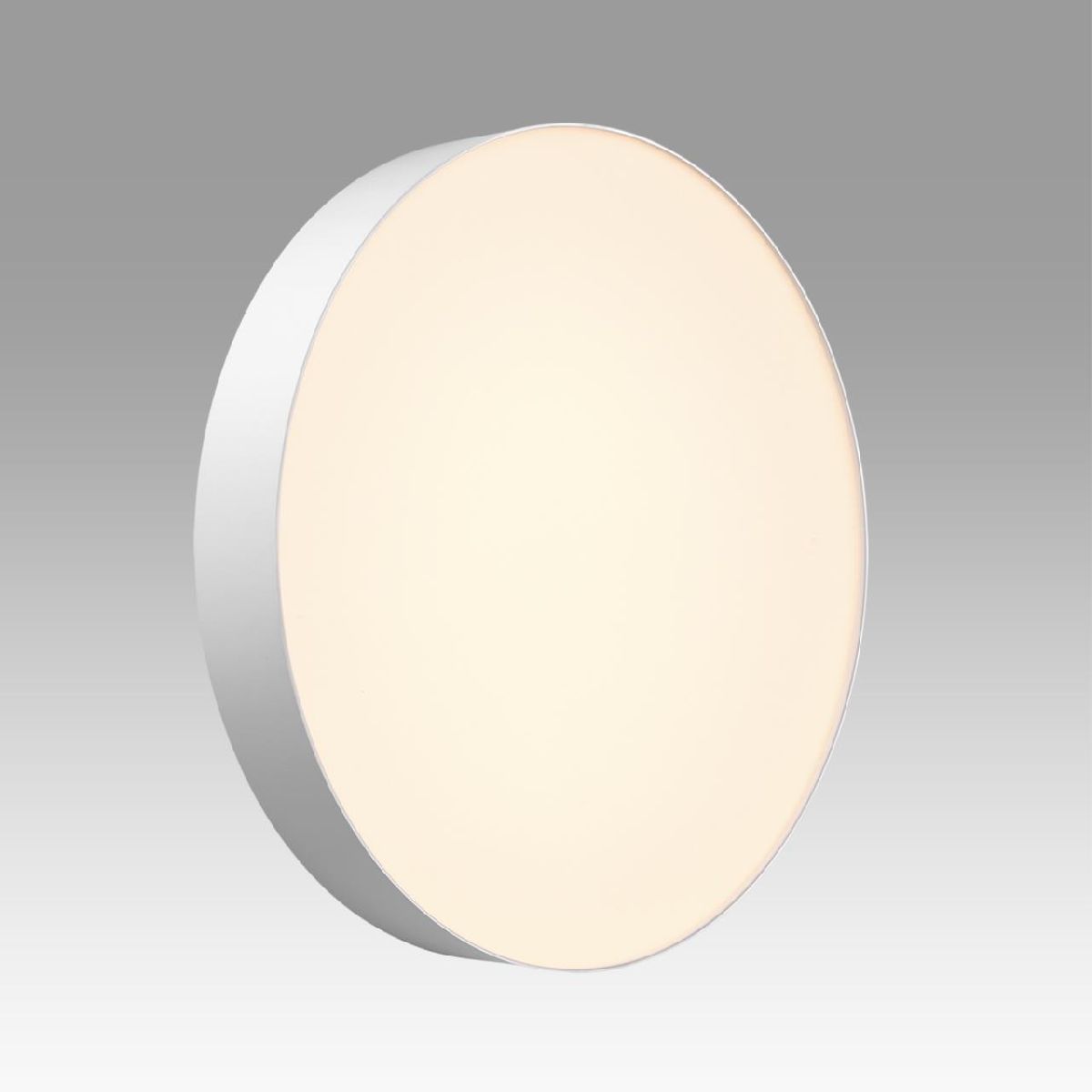 Настенно-потолочный светильник Sonex Basica Optima 7779/EL