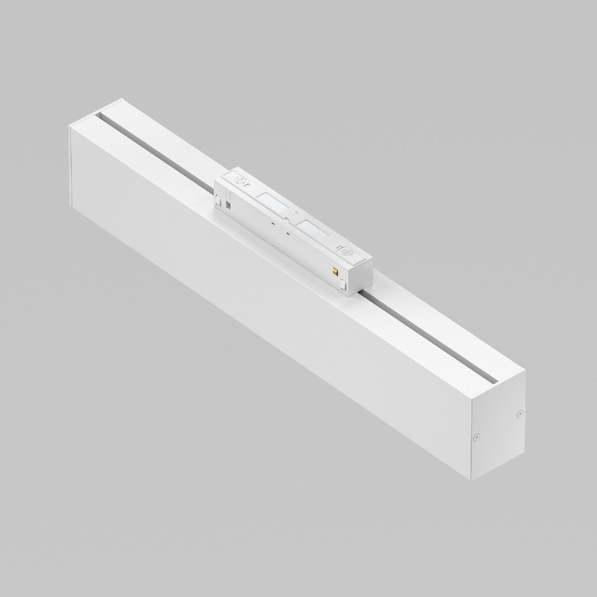 Трековый светильник Maytoni Technical BASIS TR012-2-12W4K-W