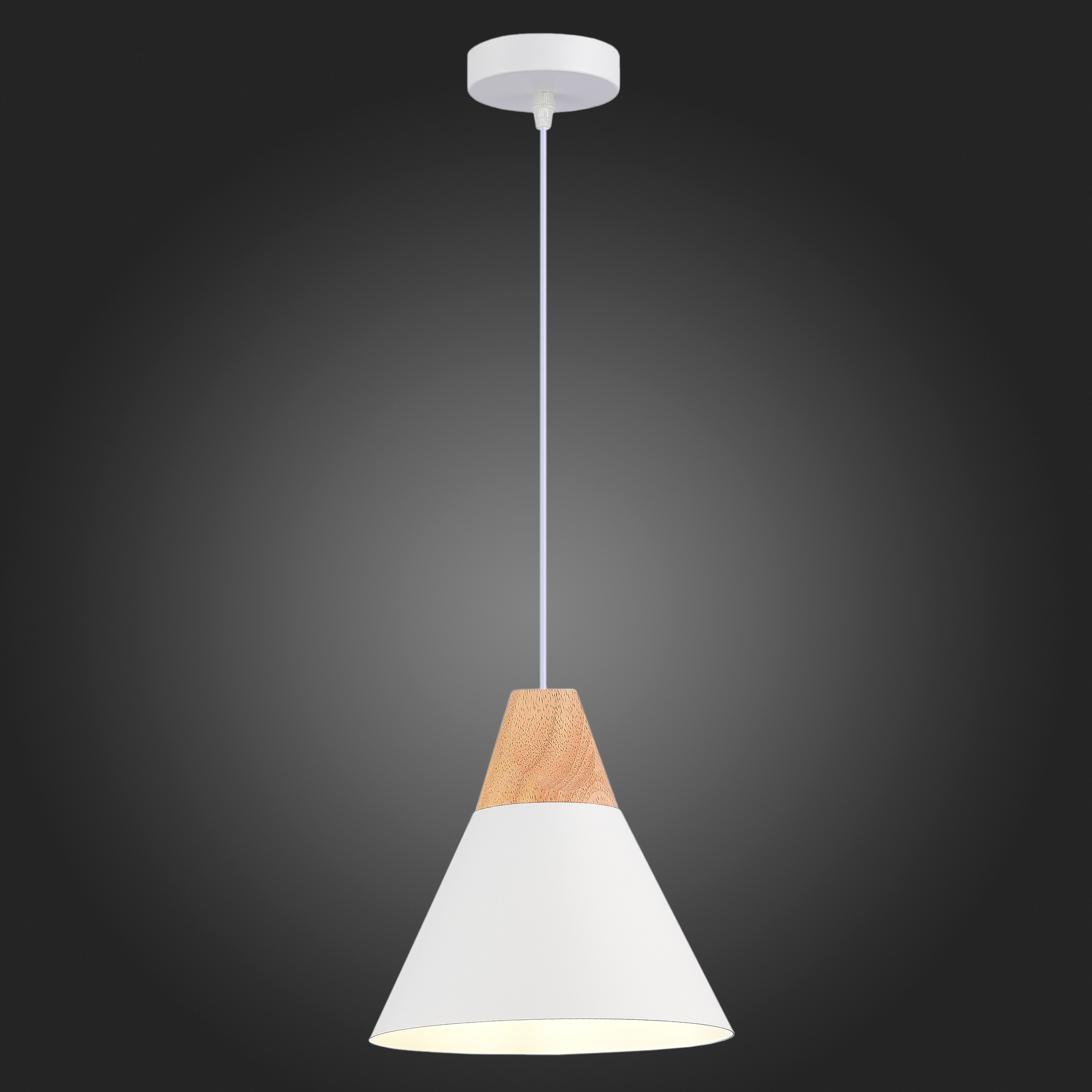 Подвесной светильник Evoluce Modica SLE125103-01