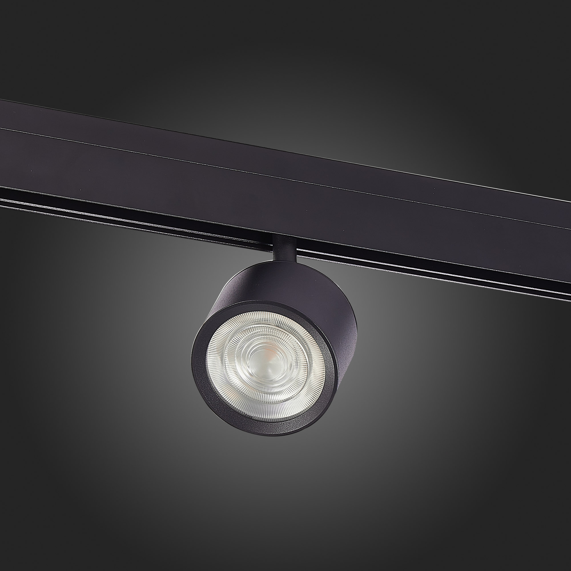 Трековый светильник ST Luce Vedo ST353.436.06 в Москве