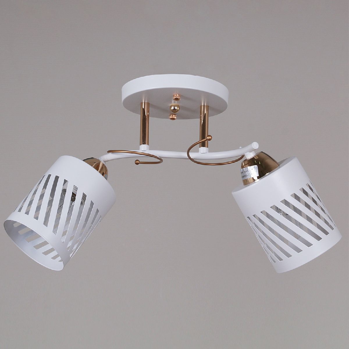 Потолочный светильник Reluce 08235-0.3-02 WT+FG