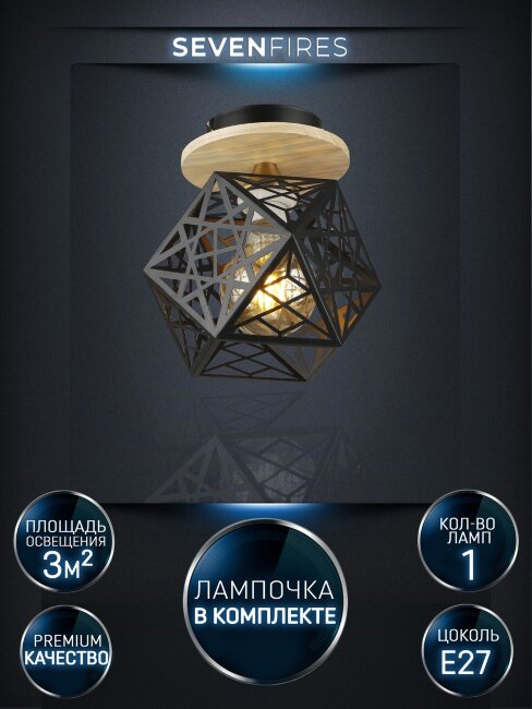 Потолочный светильник лофт Wedo Light Aland WD3572/1C-BK