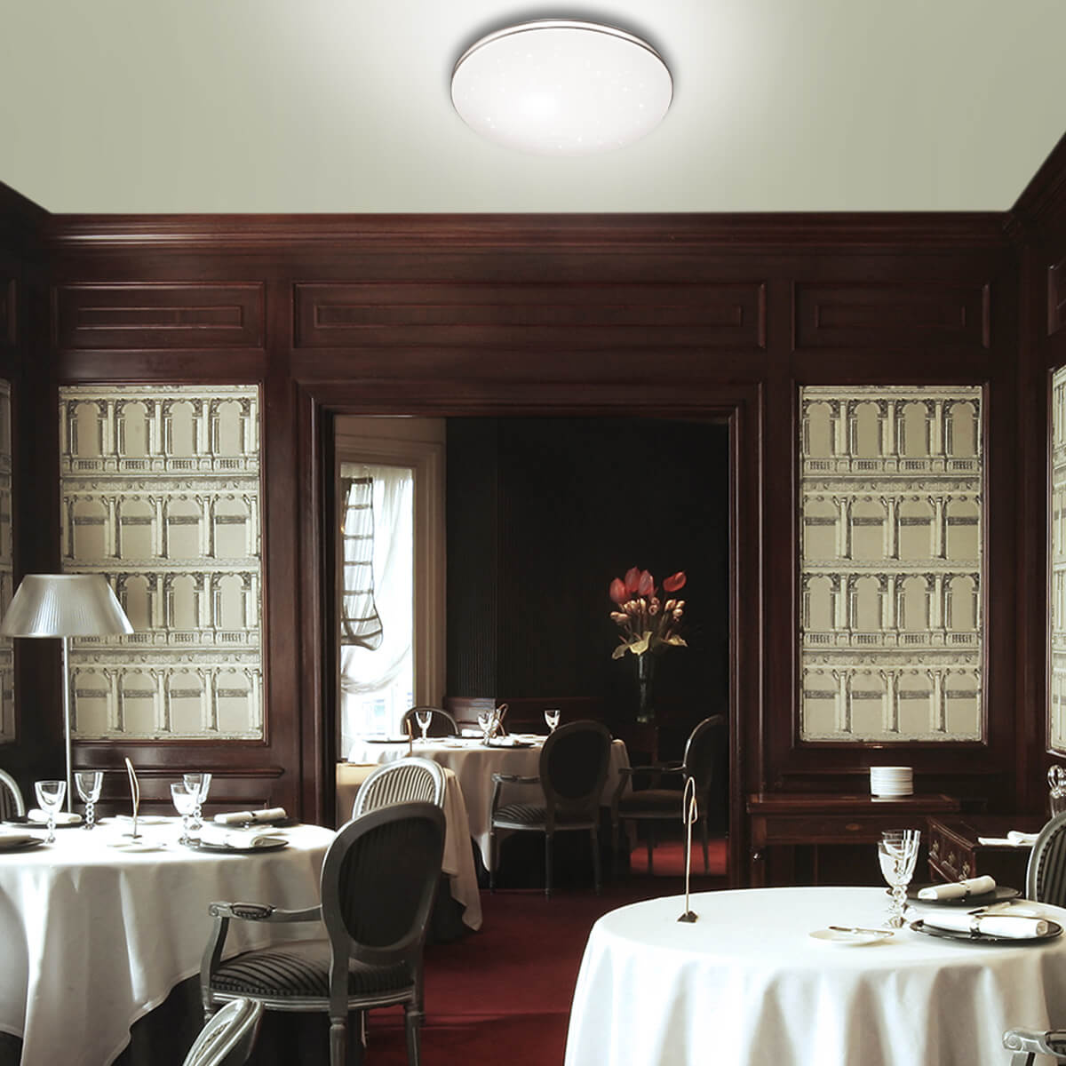 Настенно-потолочный светодиодный светильник Sonex Leka 2051/ML