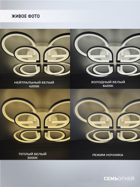 Потолочная люстра Seven Fires Dzhulin SF7099/8C-WT