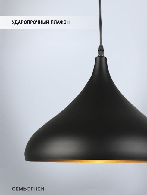 Подвесной светильник Wedo Light Sorrento WD3501/1P-BK-GD