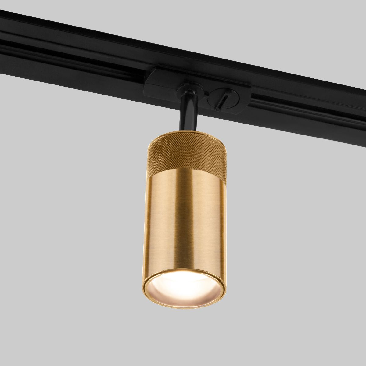 Трековый однофазный светильник Elektrostandard Riffe 4690389190469 a061661