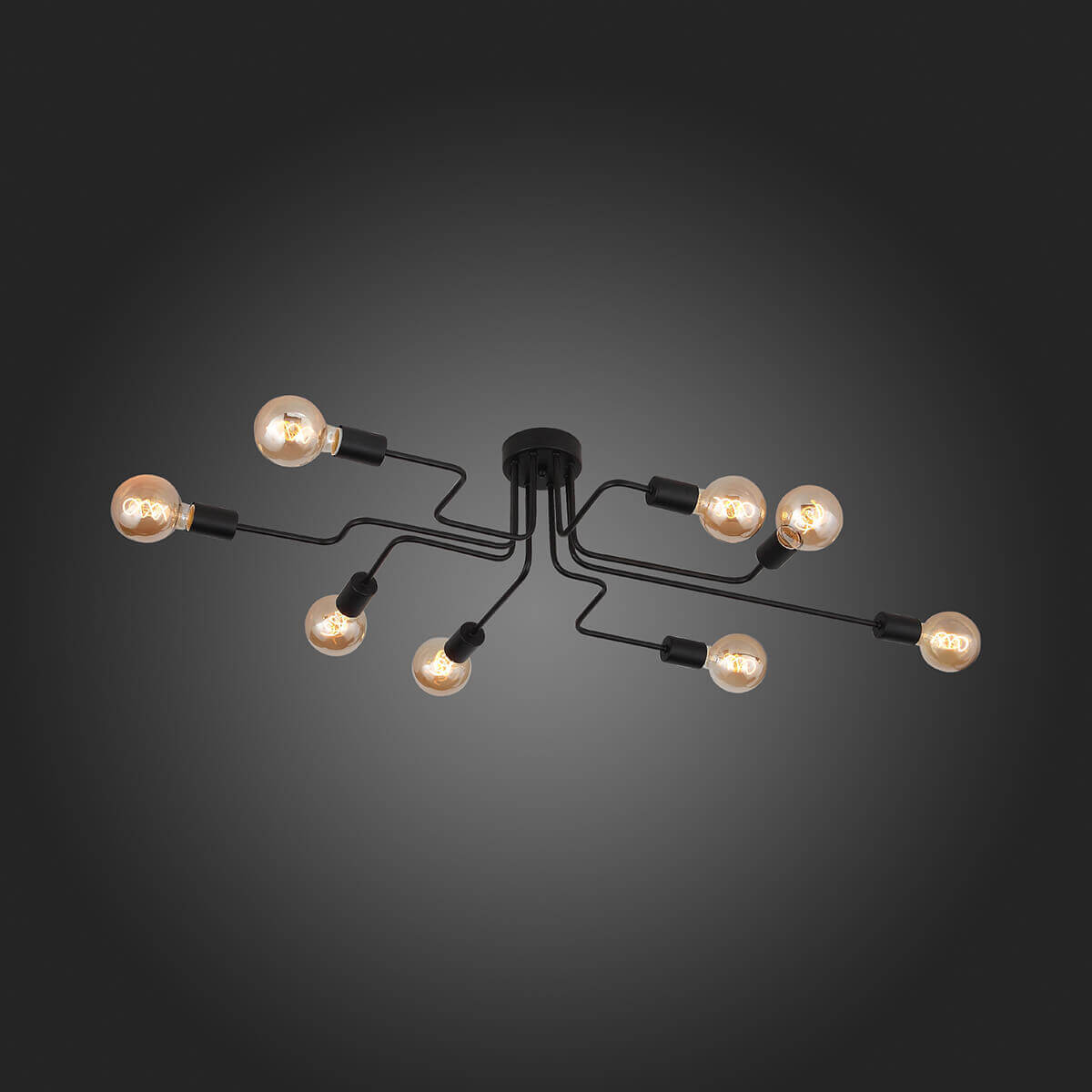 Потолочная люстра ST Luce Ano SL419.442.08