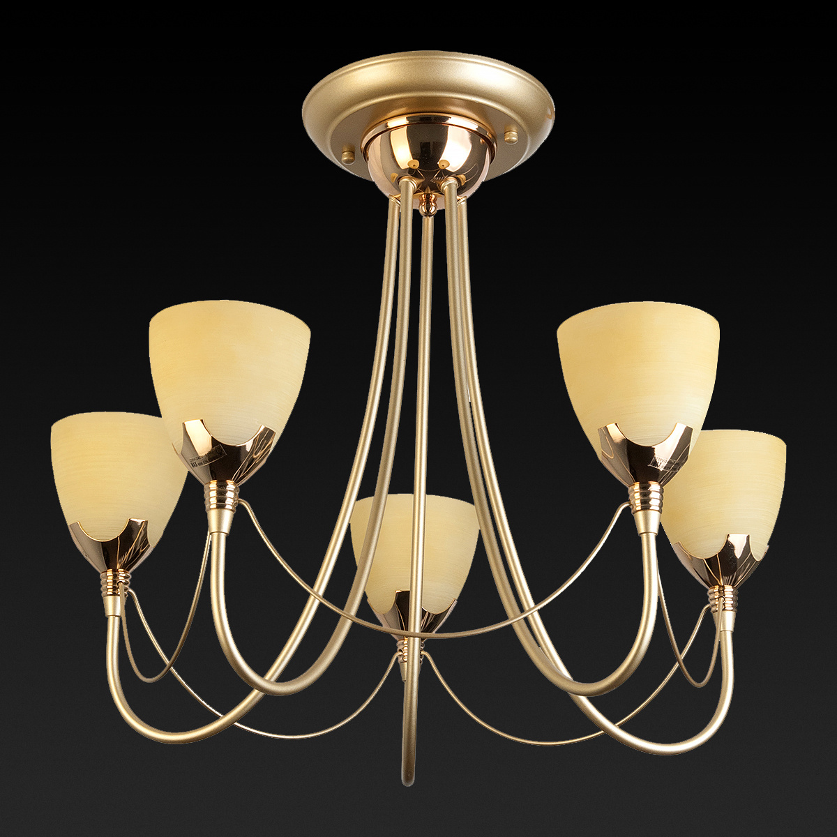 Потолочная люстра Toplight Lucia TL3630X-05MG