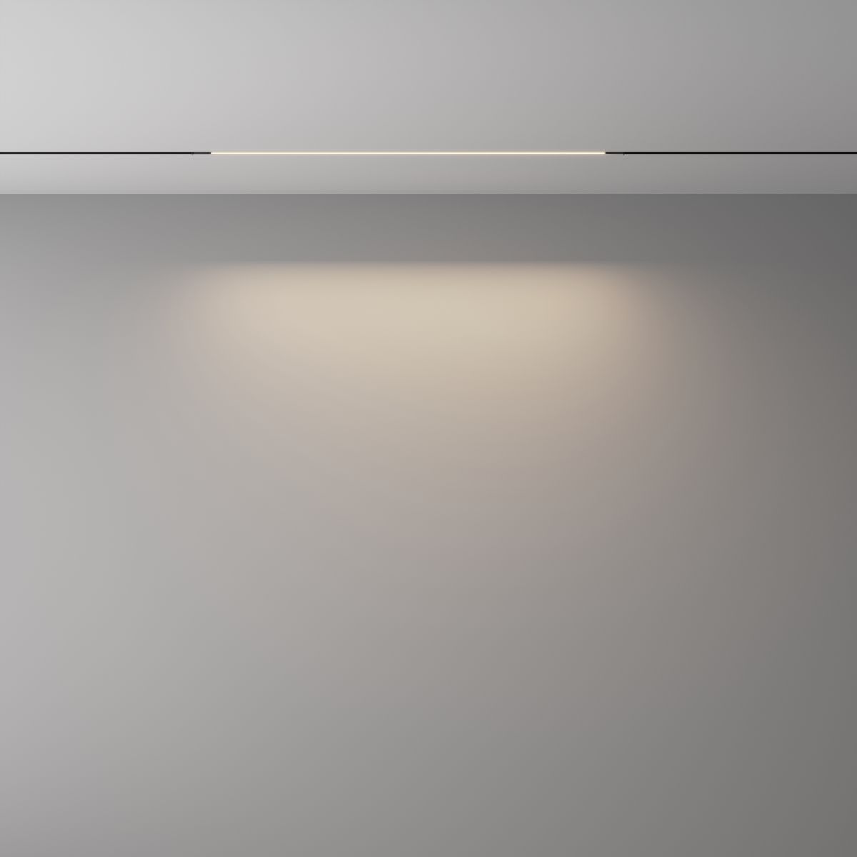 Трековый светильник Maytoni Technical Exility X TR240-2-12W4K-B