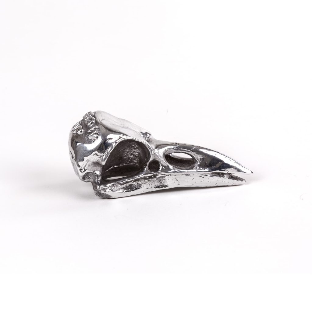 Статуэтка Bird Skull Seletti Wunderkammer 10895