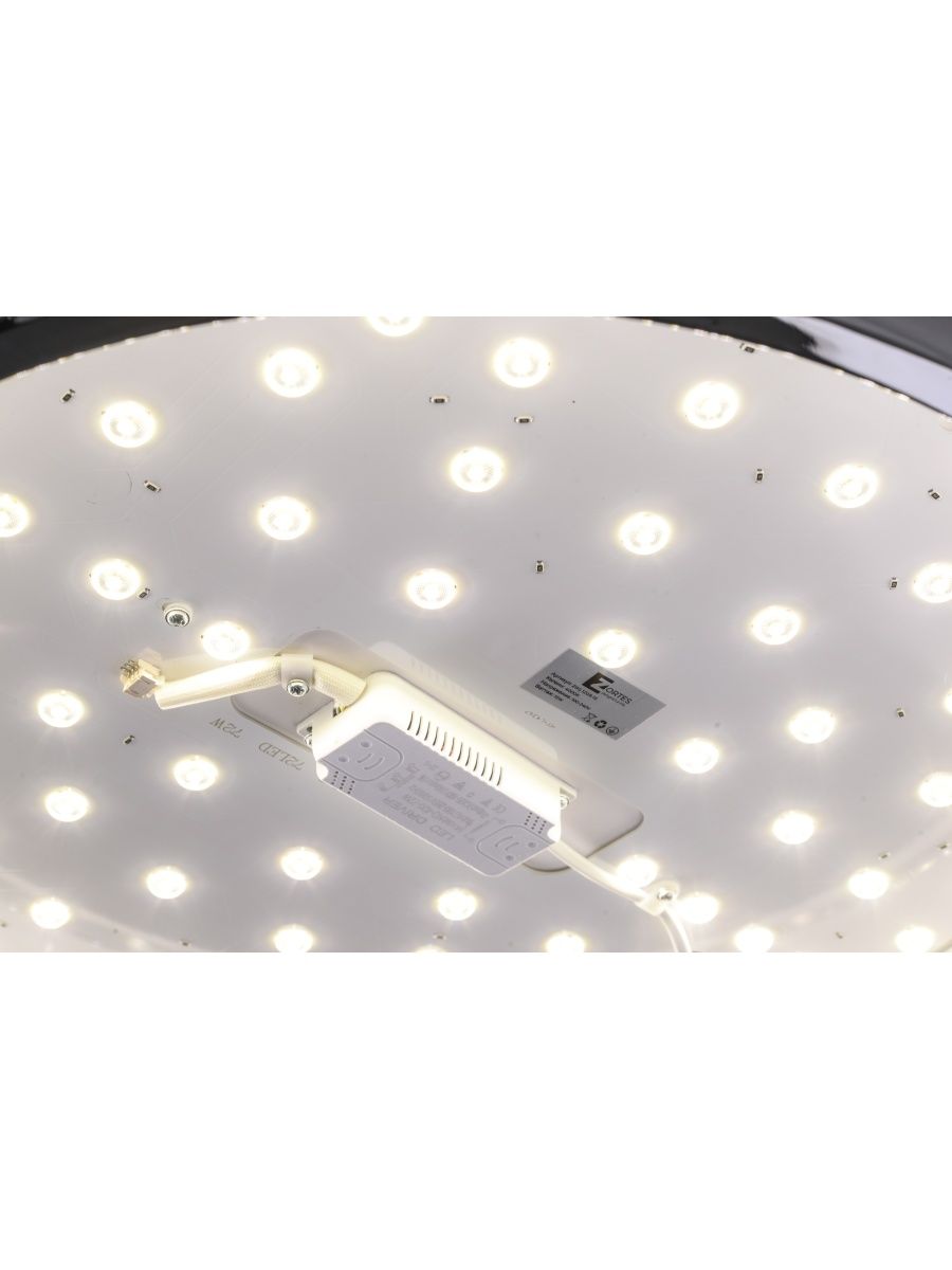 Потолочный светильник Zortes Gimpel ZRS.1209.16