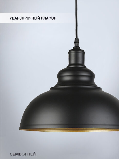 Подвесной светильник Wedo Light Tramin WD3502/1P-BK-GD