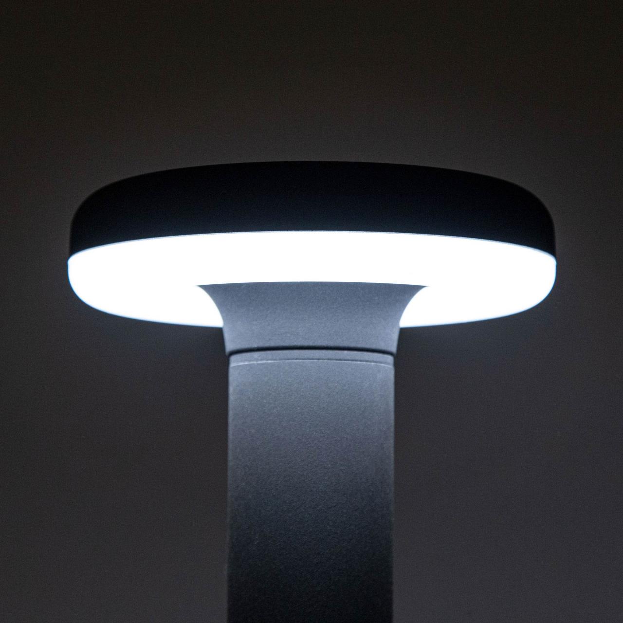 Уличный светодиодный светильник Citilux CLU01B