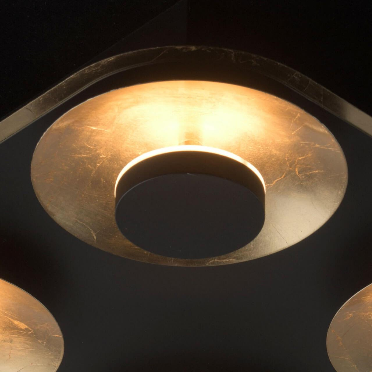 Потолочная светодиодная светодиодная люстра De Markt Галатея 12 452015004