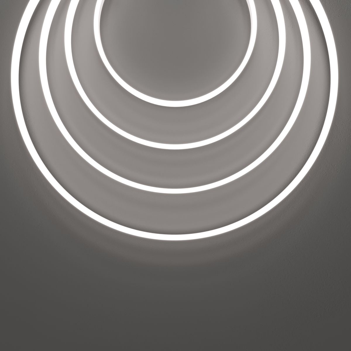 Гибкий неон Maytoni Led strip 24В 10Вт/м 6000K 5м IP67 432031