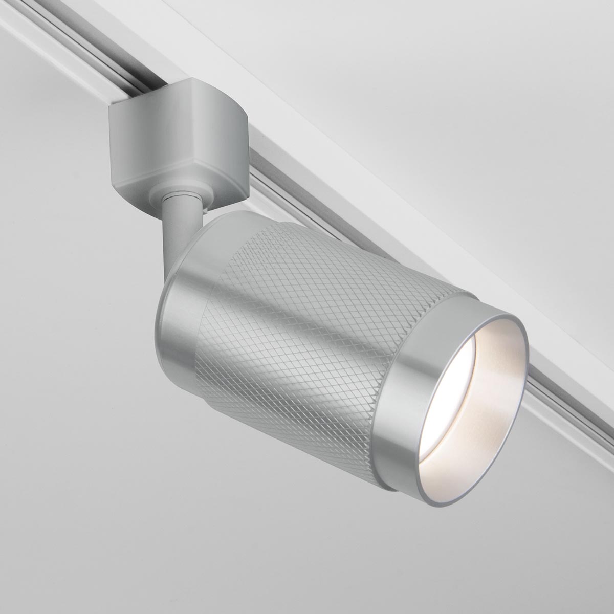 Трековый светильник Elektrostandard Tony GU10 Серебро (MRL 1012) однофазный 4690389149634